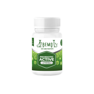 Probiotic Active - probiotic for dogs and cats