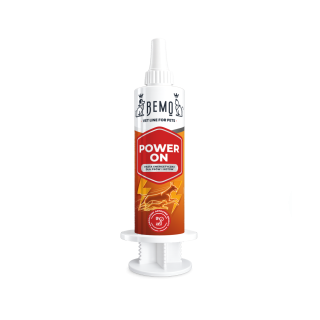 Bemo Power On - high-energy paste for dogs and cats