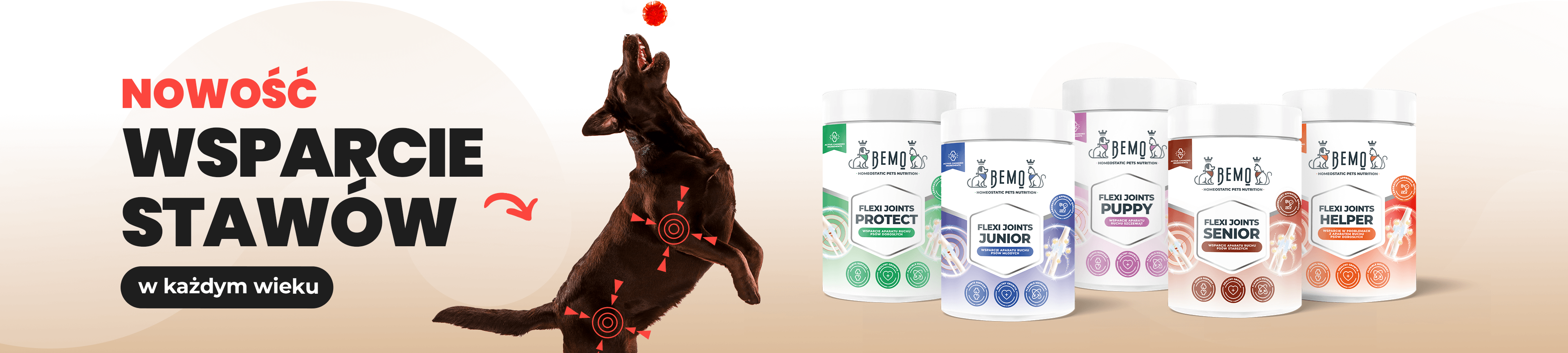 #tbmain-slider-img-15 Flexi Joints